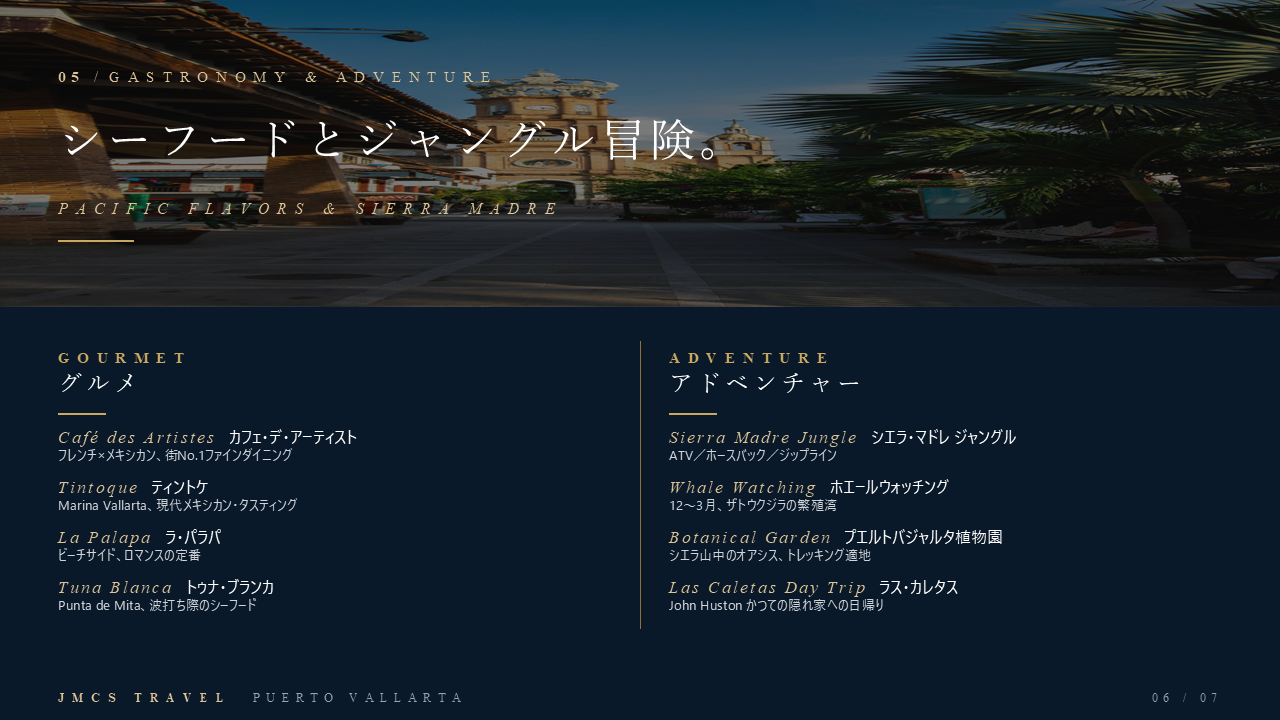 プエルトバジャルタ 6